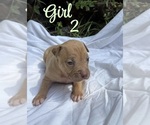 Small #7 Breeder Profile image
