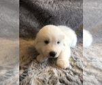 Small #5 Breeder Profile image