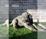 Small #3 Breeder Profile image
