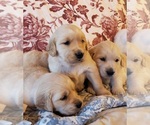 Small #3 Breeder Profile image