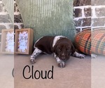 Small #8 Breeder Profile image