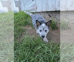 Small #14 Breeder Profile image