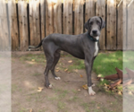 Small #4 Breeder Profile image