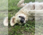 Small #5 Breeder Profile image