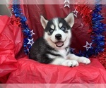 Small #1 Breeder Profile image