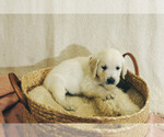 Small #18 Breeder Profile image