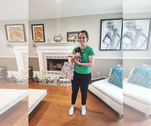 Medium Photo #4  Breeder Profile in OCALA, FL, USA