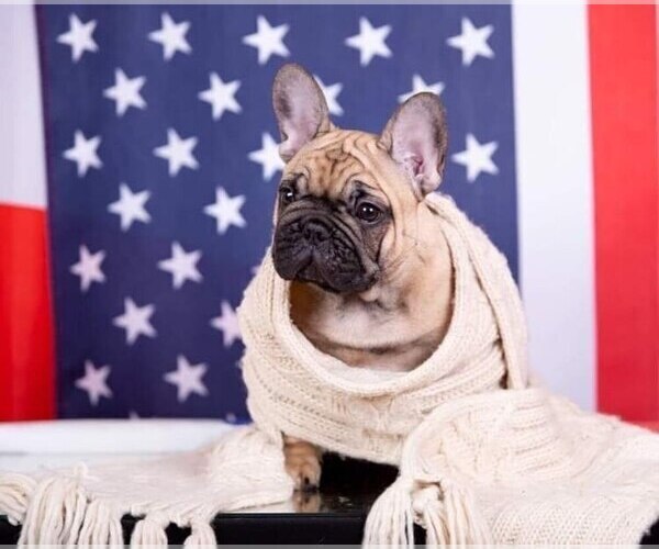 Medium Photo #1  Breeder Profile in BILOXI, MS, USA