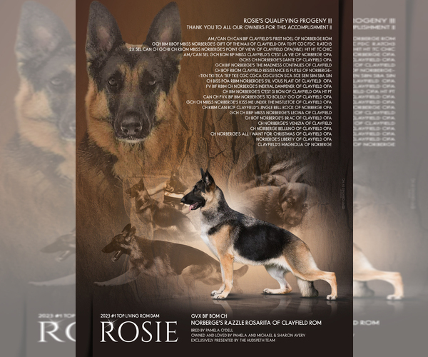 Medium Photo #2  Breeder Profile in SNOHOMISH, WA, USA