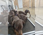 Small #19 Breeder Profile image