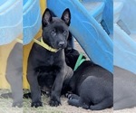 Small #15 Breeder Profile image