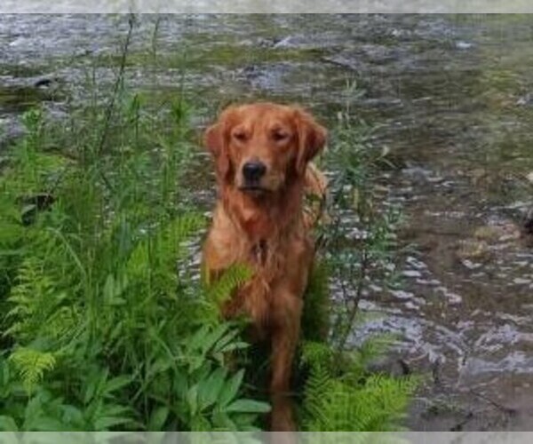 Medium Photo #1  Breeder Profile in COULEE CITY, WA, USA