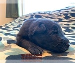 Small #32 Breeder Profile image