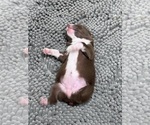Small #3 Breeder Profile image