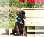 Small #2 Breeder Profile image
