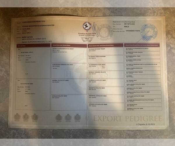 Medium Photo #7  Breeder Profile in AKELEY, MN, USA