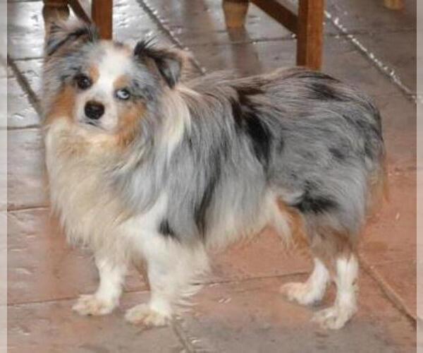 Medium Photo #1  Breeder Profile in TELEPHONE, TX, USA