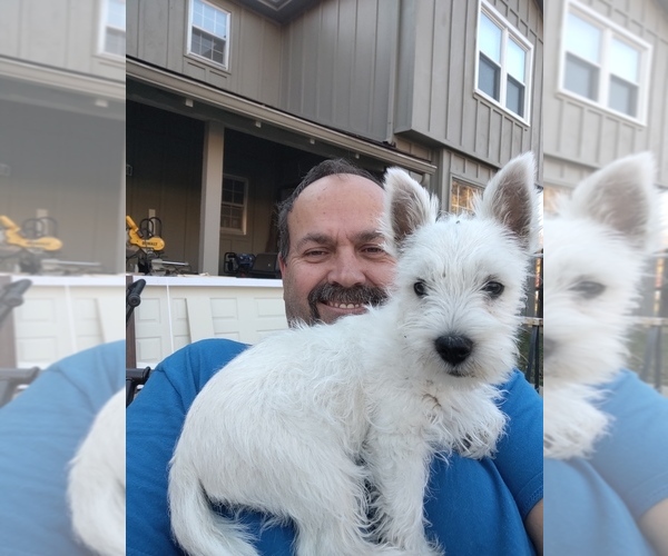 Medium Photo #1  Breeder Profile in PITTSBURG, KS, USA