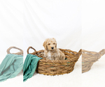 Small #14 Breeder Profile image