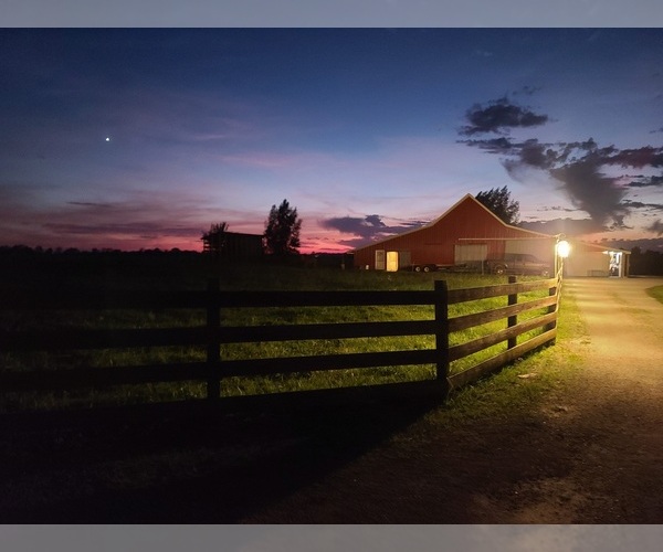 Medium Photo #1  Breeder Profile in GLENWOOD, IN, USA