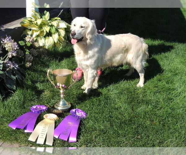 Medium Photo #6  Breeder Profile in ELLENSBURG, WA, USA
