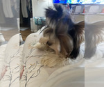 Small #2 Breeder Profile image