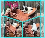 Small #15 Breeder Profile image