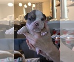 Small #2 Breeder Profile image