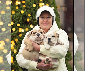 Medium Breeder Profile Photo