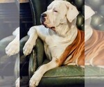 Small Photo #75  Breeder Profile in TOMBALL, TX, USA