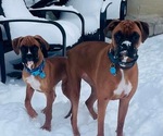 Small #13 Breeder Profile image