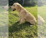 Small #4 Breeder Profile image
