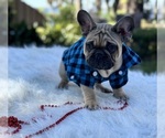 Small #5 Breeder Profile image