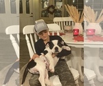 Small #40 Breeder Profile image