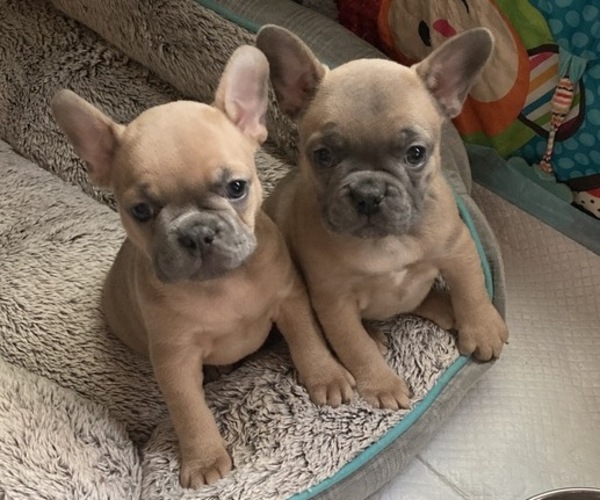Medium Photo #1  Breeder Profile in MEAD, WA, USA