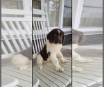 Small #40 Breeder Profile image