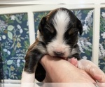 Small #20 Breeder Profile image