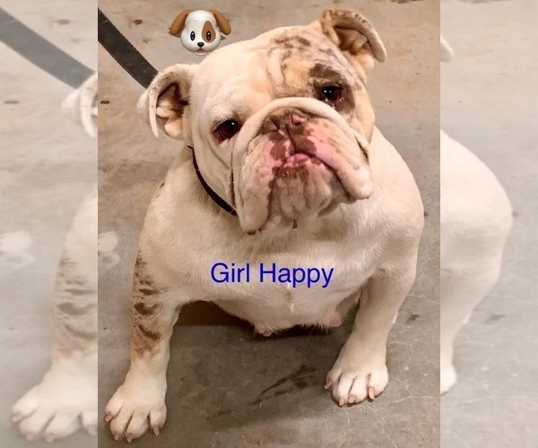 Medium Photo #9  Breeder Profile in VICTORVILLE, CA, USA