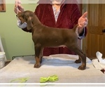 Small #6 Breeder Profile image