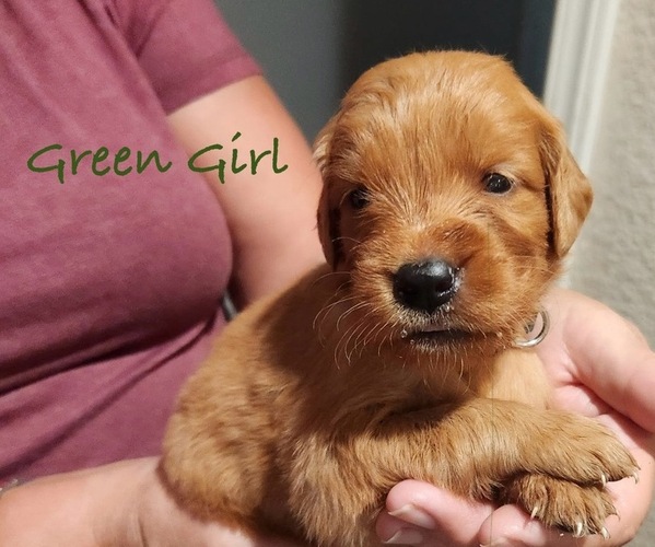 Medium Photo #2  Breeder Profile in FRESNO, CA, USA
