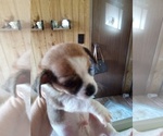 Small #3 Breeder Profile image