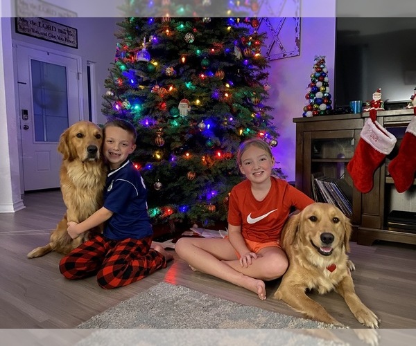 Medium Photo #1  Breeder Profile in OVALO, TX, USA