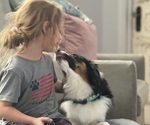 Small #28 Breeder Profile image