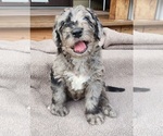Small #15 Breeder Profile image