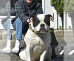 Small #67 Breeder Profile image