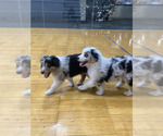 Small #15 Breeder Profile image