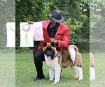 Small #12 Breeder Profile image