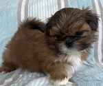 Small #7 Breeder Profile image