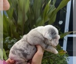 Small #10 Breeder Profile image