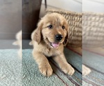 Small #3 Breeder Profile image